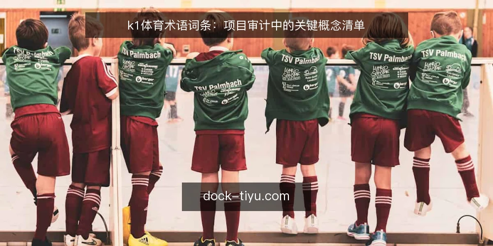 k1体育术语词条：项目审计中的关键概念清单 — 为何现在审计术语 配图