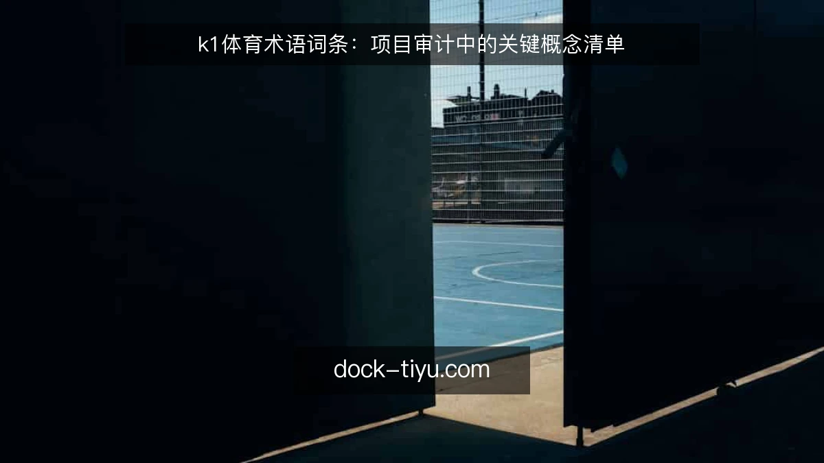 k1体育术语词条：项目审计中的关键概念清单