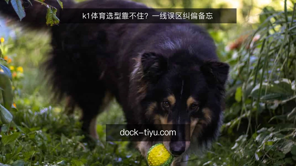 k1体育选型靠不住?一线误区纠偏备忘