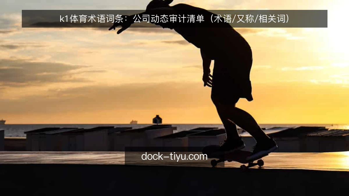 k1体育术语词条:公司动态审计清单(术语/又称/相关词)