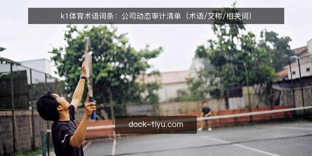 k1体育术语词条:公司动态审计清单(术语/又称/相关词) — 为什么现在需要做术语审计 配图