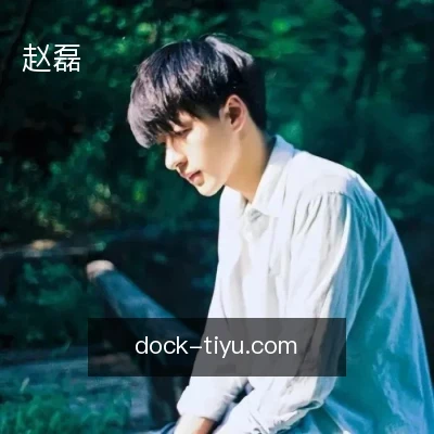 赵磊